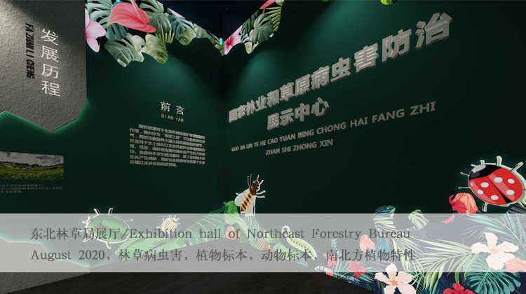 image here